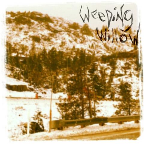 Pictures Taken In 2011 album art