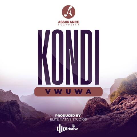 Kondi vwuwa album art