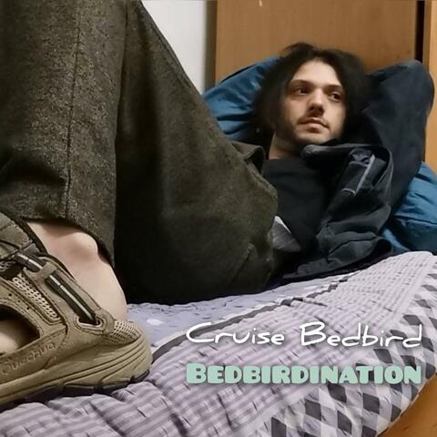 Bedbirdination album art