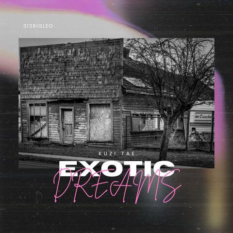 EXOTIC DREAMS album art