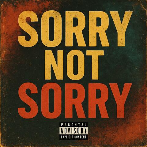 Sorry Not Sorry (Remix) album art