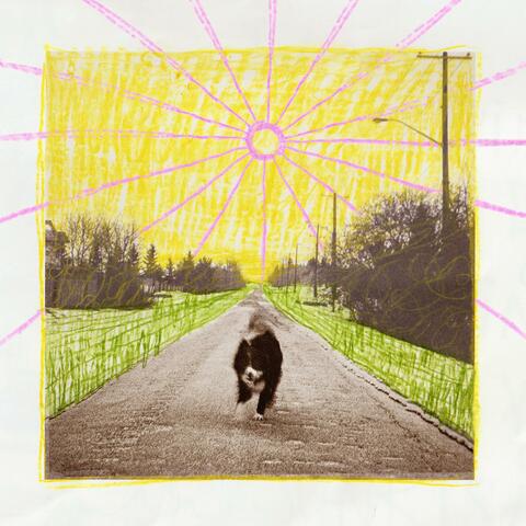 Dogs in the Alleyway album art