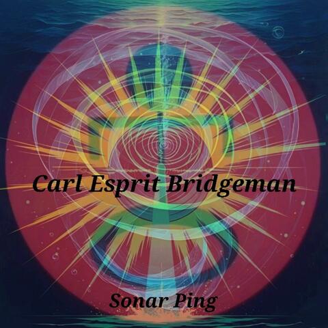 The Best At Loving You  (feat. Carl Esprit Bridgeman) [highland medicine mix] album art