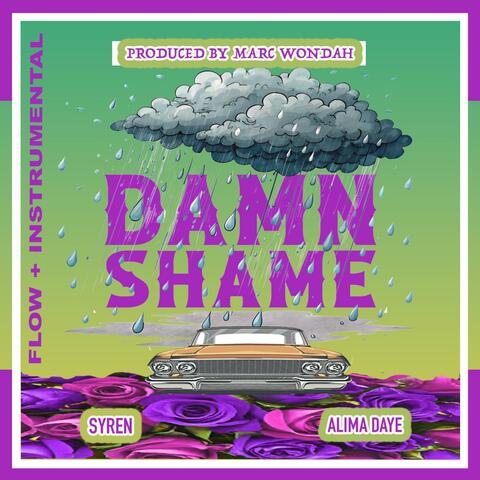 Damn Shame (Flow + Instrumental) album art