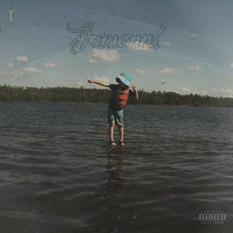 ! album art