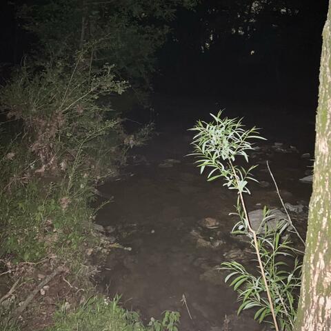 The things i wish i could say to you album art