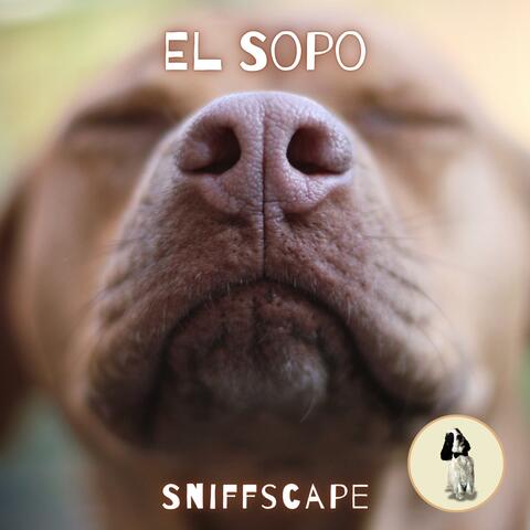Sniffscape album art