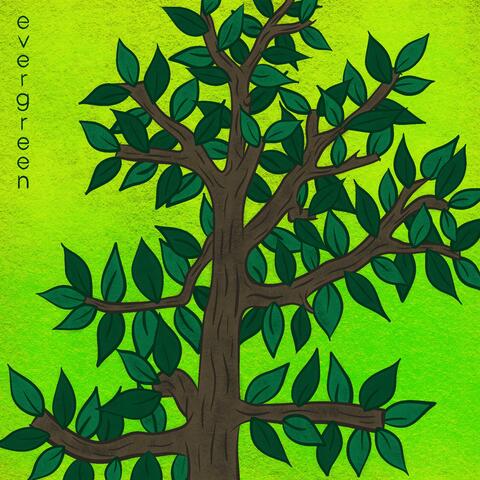 Evergreen album art