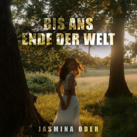 ENDE DER WELT album art