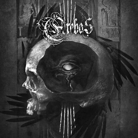 Fallen Sun album art