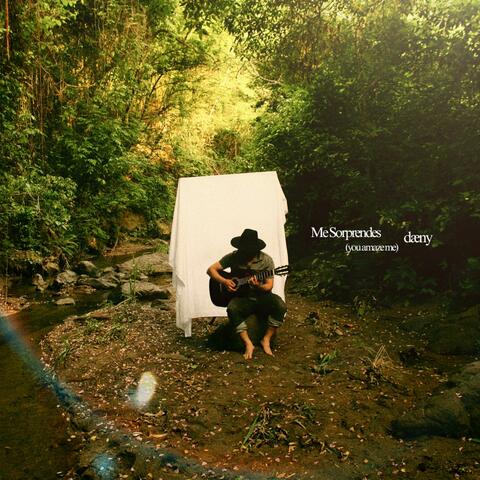 Me Sorprendes (You Amaze Me) album art