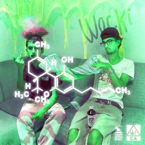 WOCK PATTERNS/C₂₁H₃₀O₂ album art