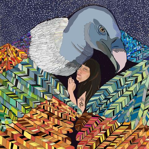 Wrap Me Up In Colored Feathers album art