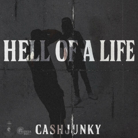 Hell Of A Life album art
