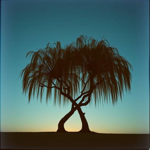 In Every Season album art