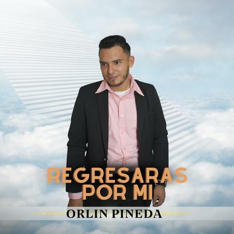 REGRESARAS POR MI album art