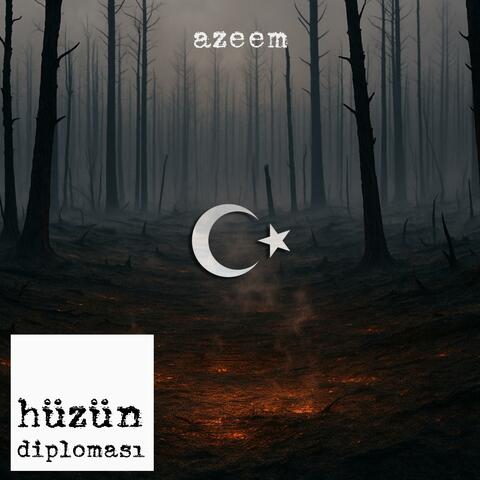 Hüzün Diploması album art