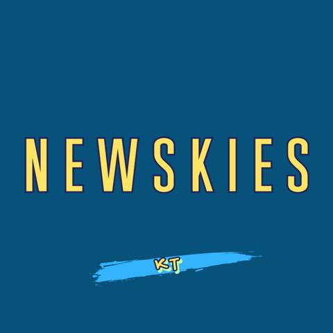 NEWSKIES album art