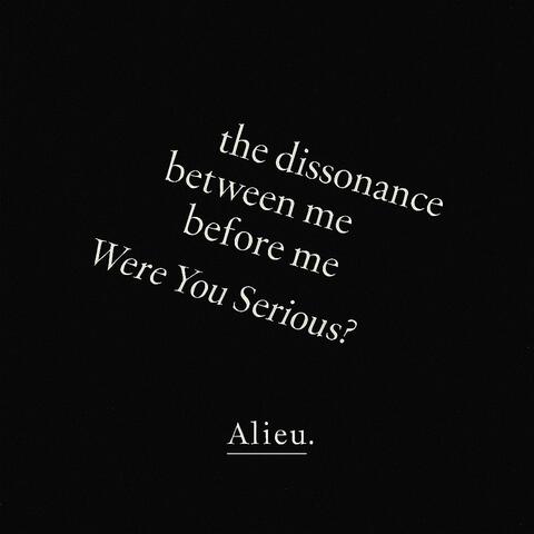 the dissonance between me before me (Were You Serious?) album art