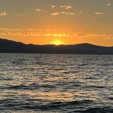 whats next? album art