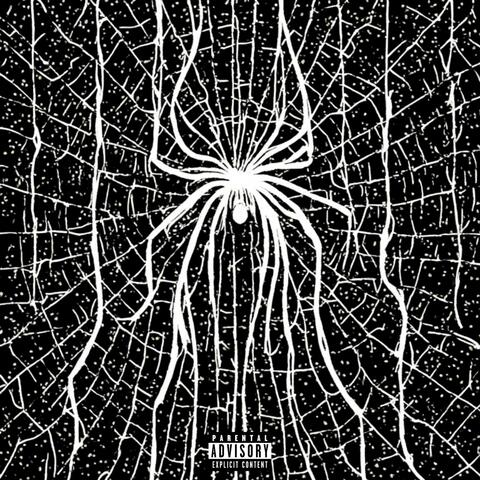 caughtinaweb! album art