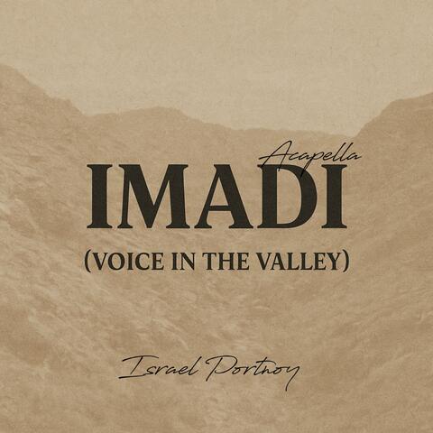 IMADI - Voice in the Valley album art
