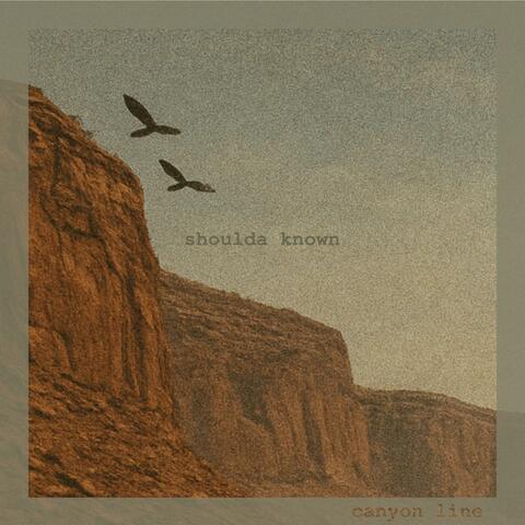 Shoulda Known album art