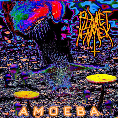 Amoeba album art