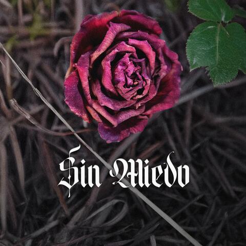 Sin Miedo (feat. David Ortiz) album art