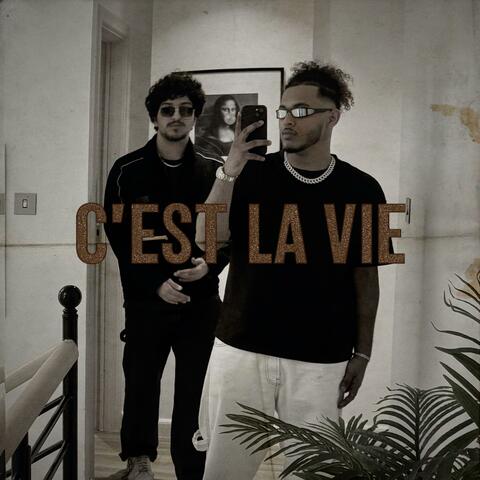 c'est la vie (feat. DWave) album art