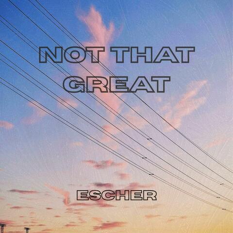 Not That Great album art