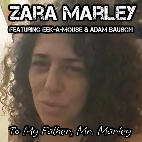 To My Father, Mr. Marley album art