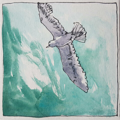 Wings (feat. lica b. & Lila) album art