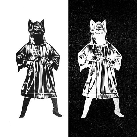 Am I What I'm Not? album art