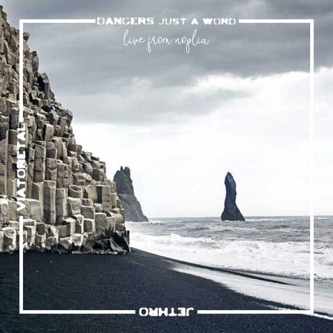 dangers just a word. (Live from Noplia) album art