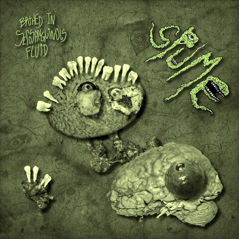 Bathed In Serosanguinous Fluid album art