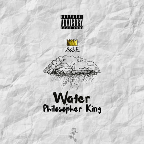 Diamond From A Rose (Water) album art