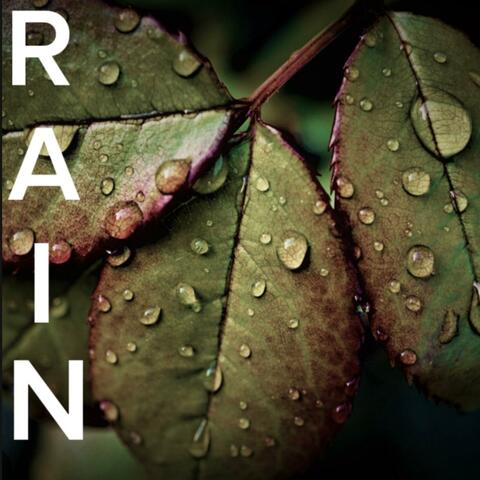Rain album art