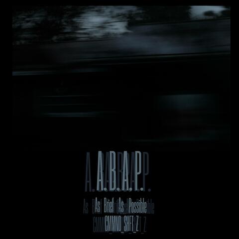 As Brief as Possible album art