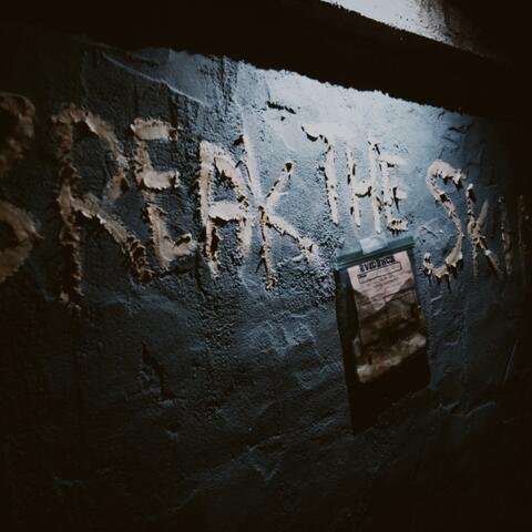 BREAK THE SKIN album art