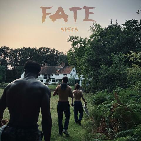 Fate album art