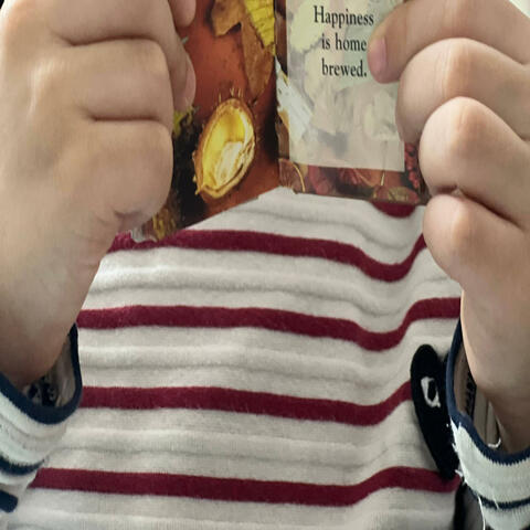 Em là bông hồng nhỏ + Cho con album art