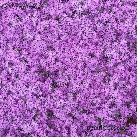 spring session album art