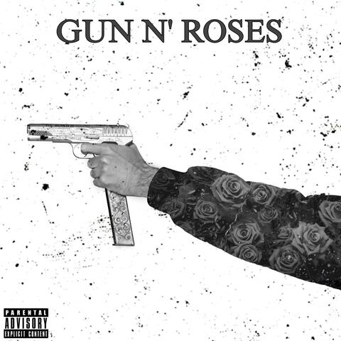 GUN N' ROSES album art