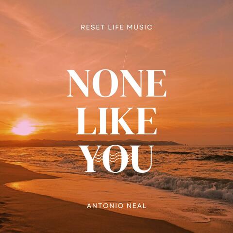None Like You(Hallelujah) album art