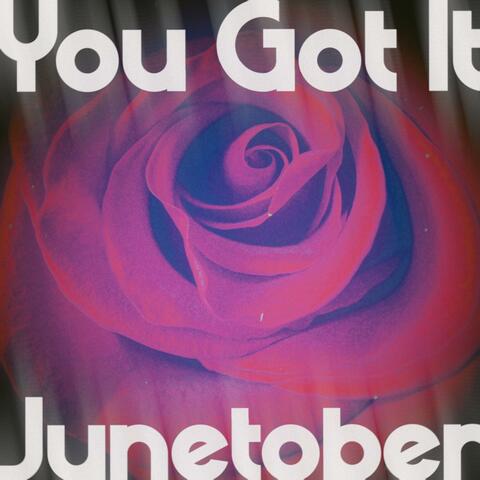 You Got It album art
