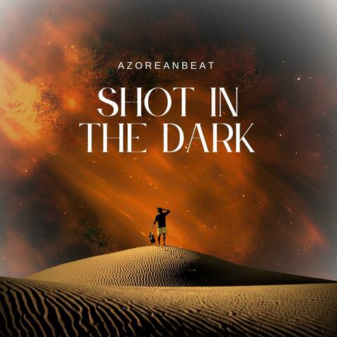 SHOT IN THE DARK (Extended Mix) album art