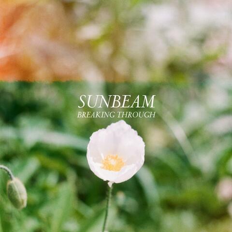Breaking Through album art