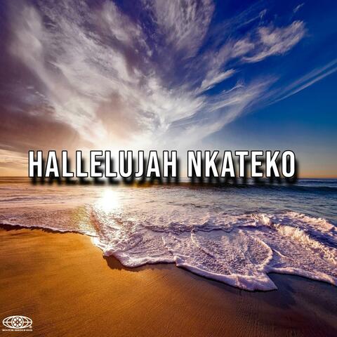 Hallelujah Nkateko (Radio Edit) album art