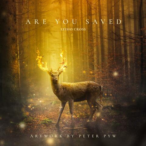 Are You Saved album art
